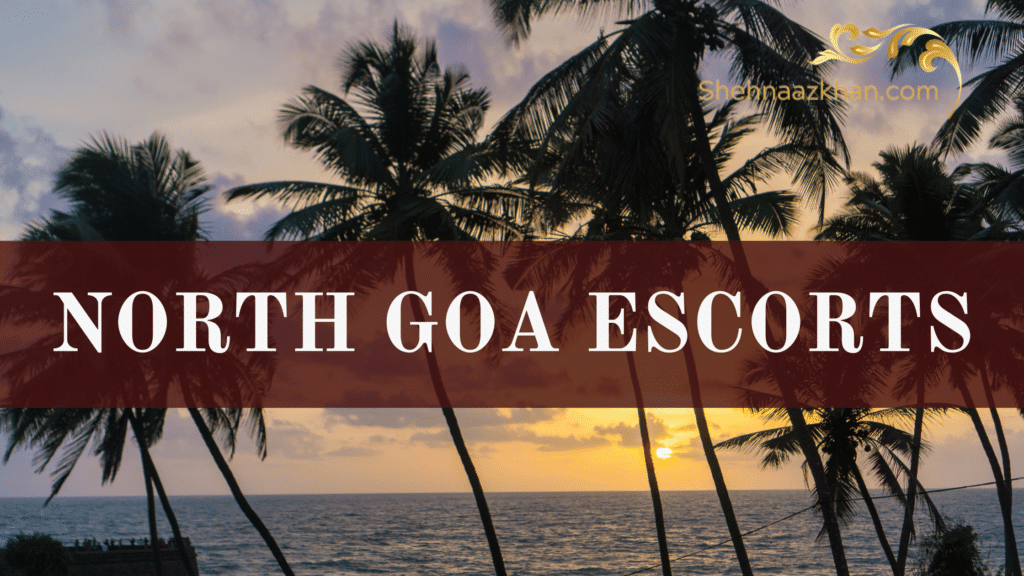 north goa escorts